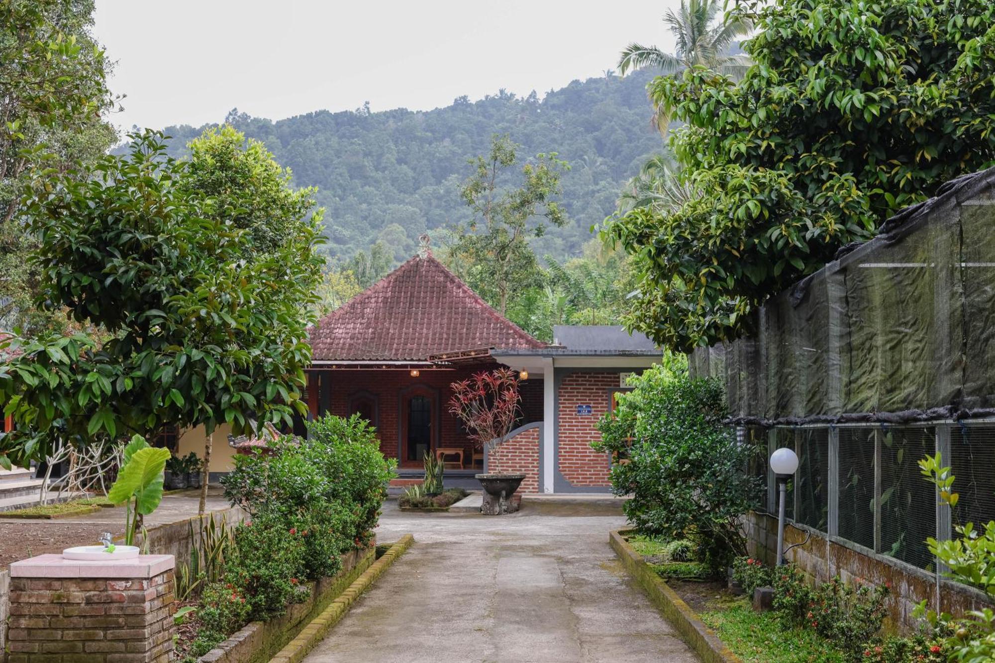 The Kori Homestay Munduk Eksteriør billede